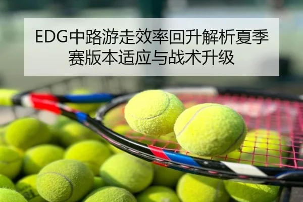 EDG中路游走效率回升解析夏季赛版本适应与战术升级